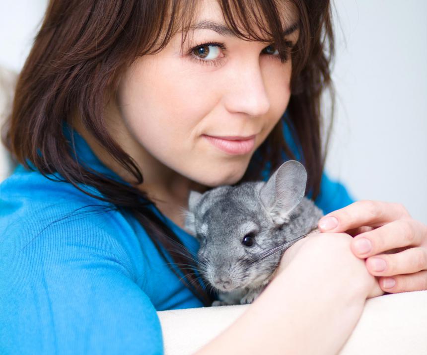 Chinchillas are popular house pets.